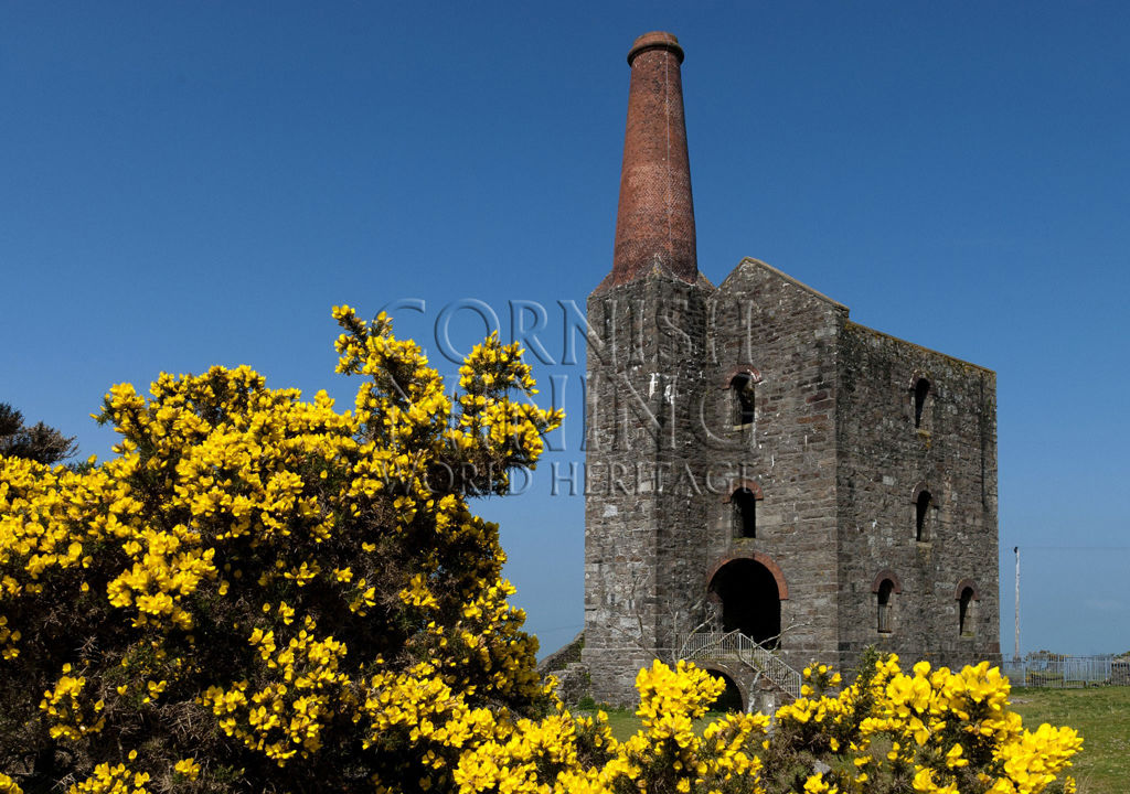 Prince of Wales Shaft Engine House and Gorse
